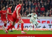 关于弗赖堡主场胜出，皇家马德里苦战平局的信息