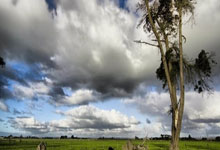  全锦赛战况：莱比锡防线稳固，休斯顿火箭进攻受阻，字母哥成最佳